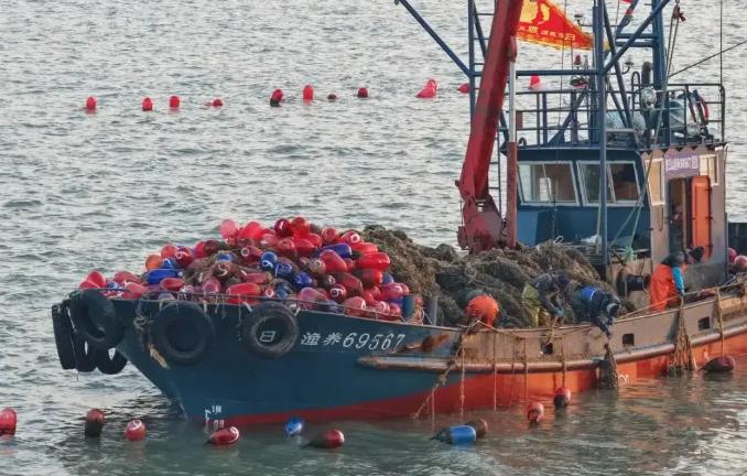 清算开始了？

日本在东海悍然扣押中国渔船，彻底踩碎了中方的忍耐底线！这根本不是