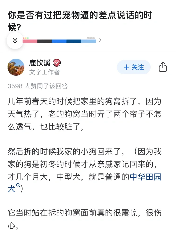 你是否有过把宠物逼到差点说话的时候？