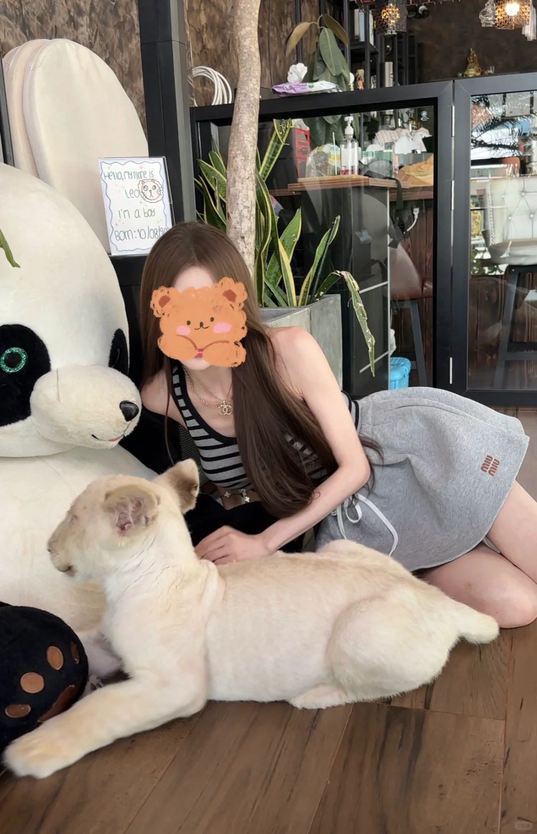 去玩乖乖的小老虎