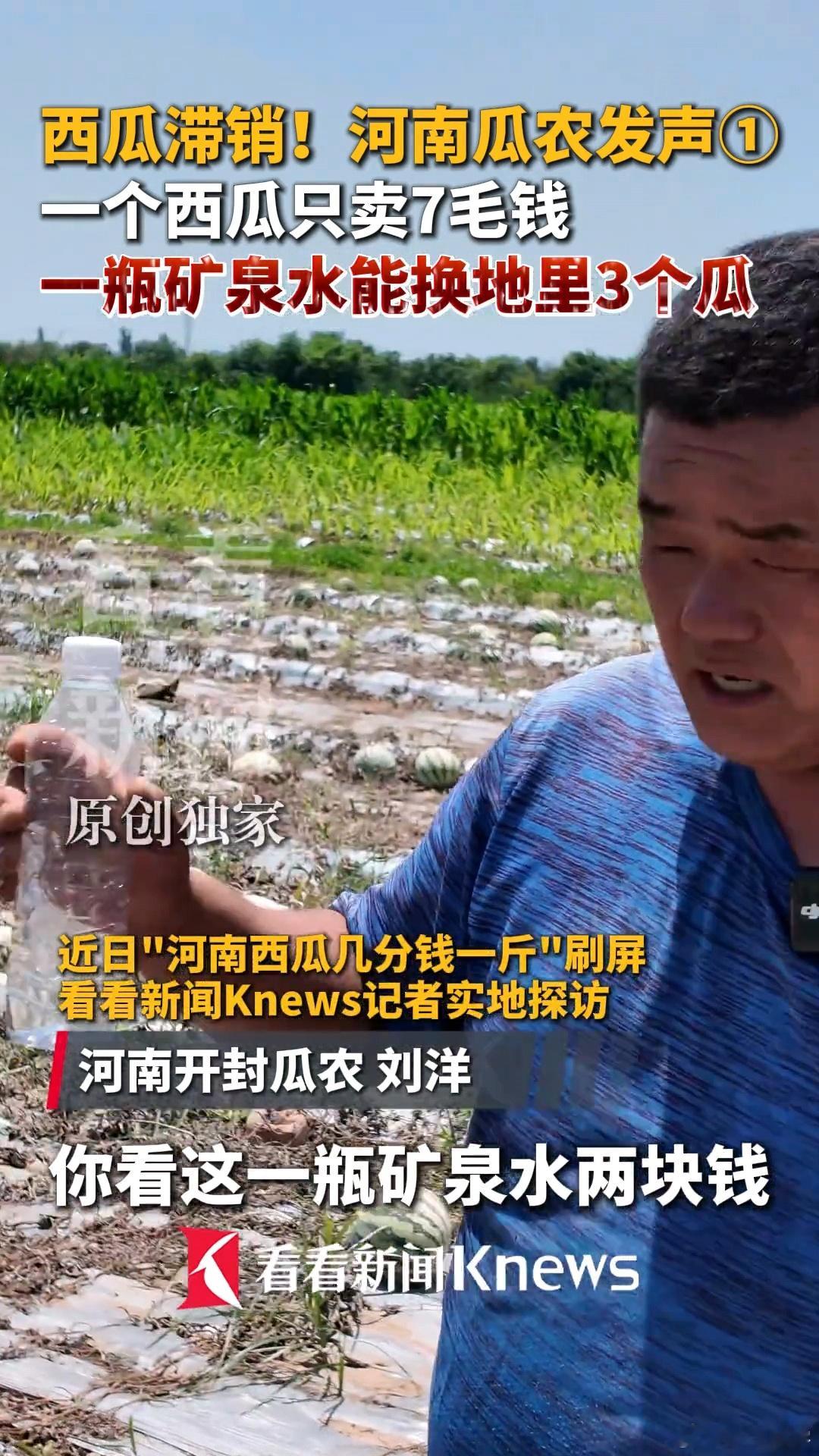 农民不容易啊！河南西瓜滞销，一毛钱一斤地里一个西瓜只能卖7毛钱一瓶矿泉水能换地里