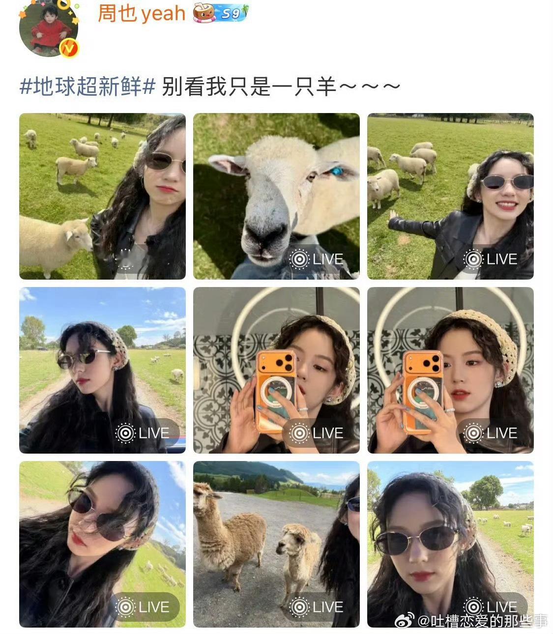 林一周也低山臭水遇噪音地球超新鲜两大跑调百灵鸟碰面，属实低山臭水遇噪音！林一、周