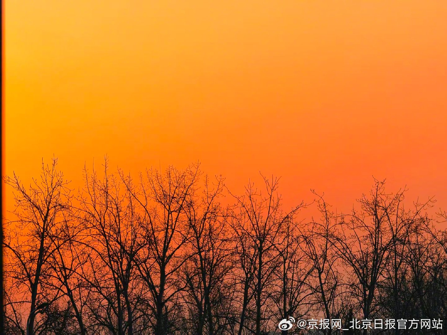 【#北京朝霞送你热烈的爱#】 #北京朝霞开启1月下半月# 1月16日清晨，北京朝