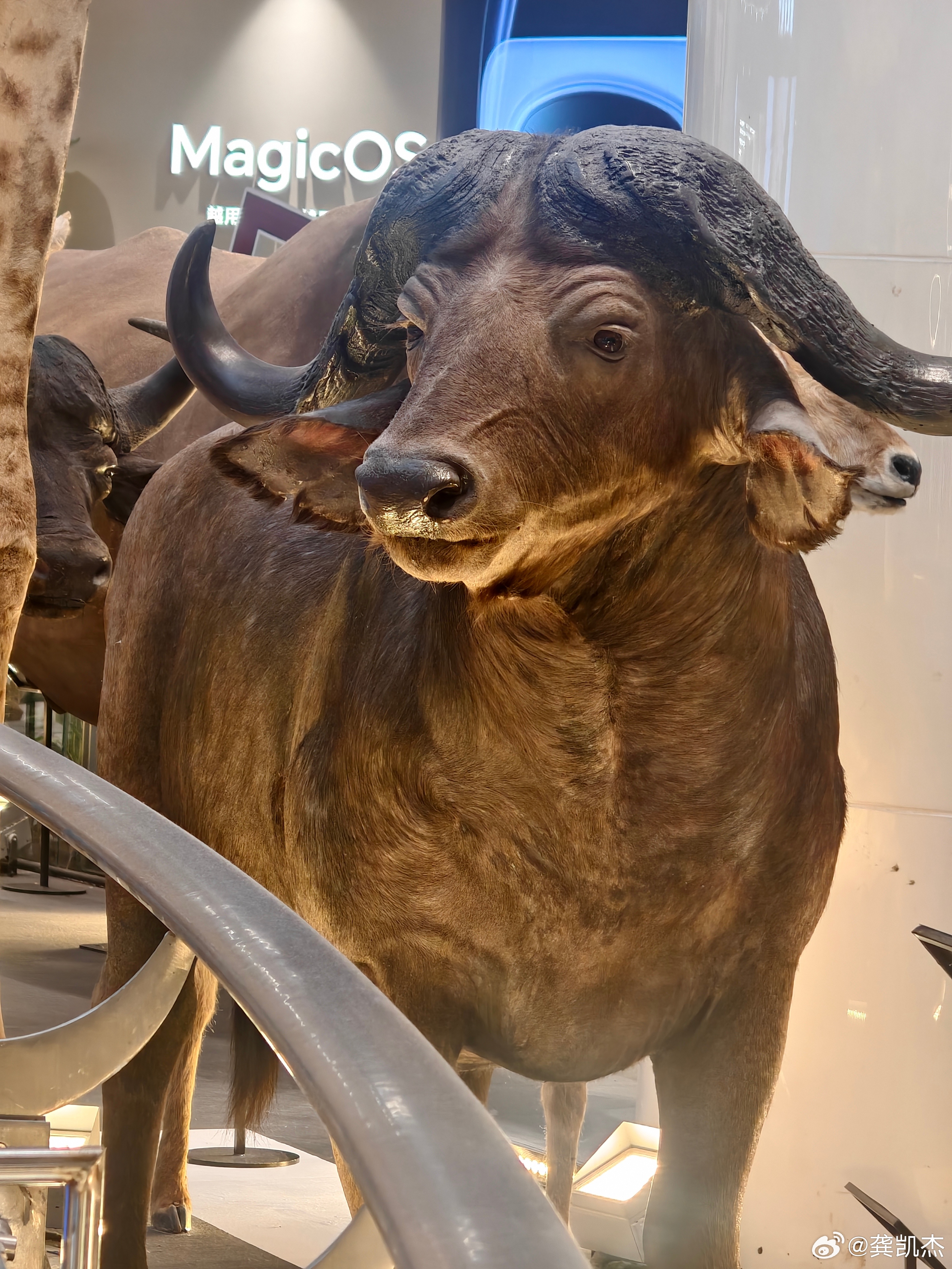 今日希望中小创个股有修复性机会吧！ 