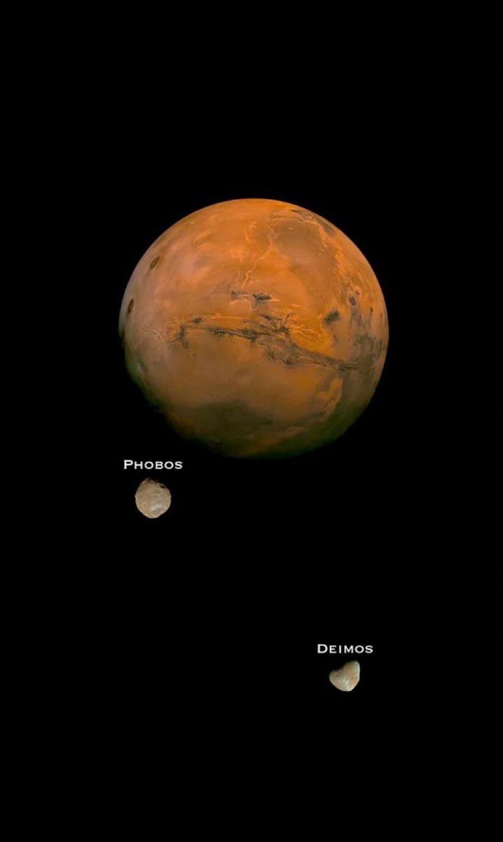 火卫一和火卫二是火星的两颗微型卫星，它们很可能是两颗被火星引力捕获的小行星，未来