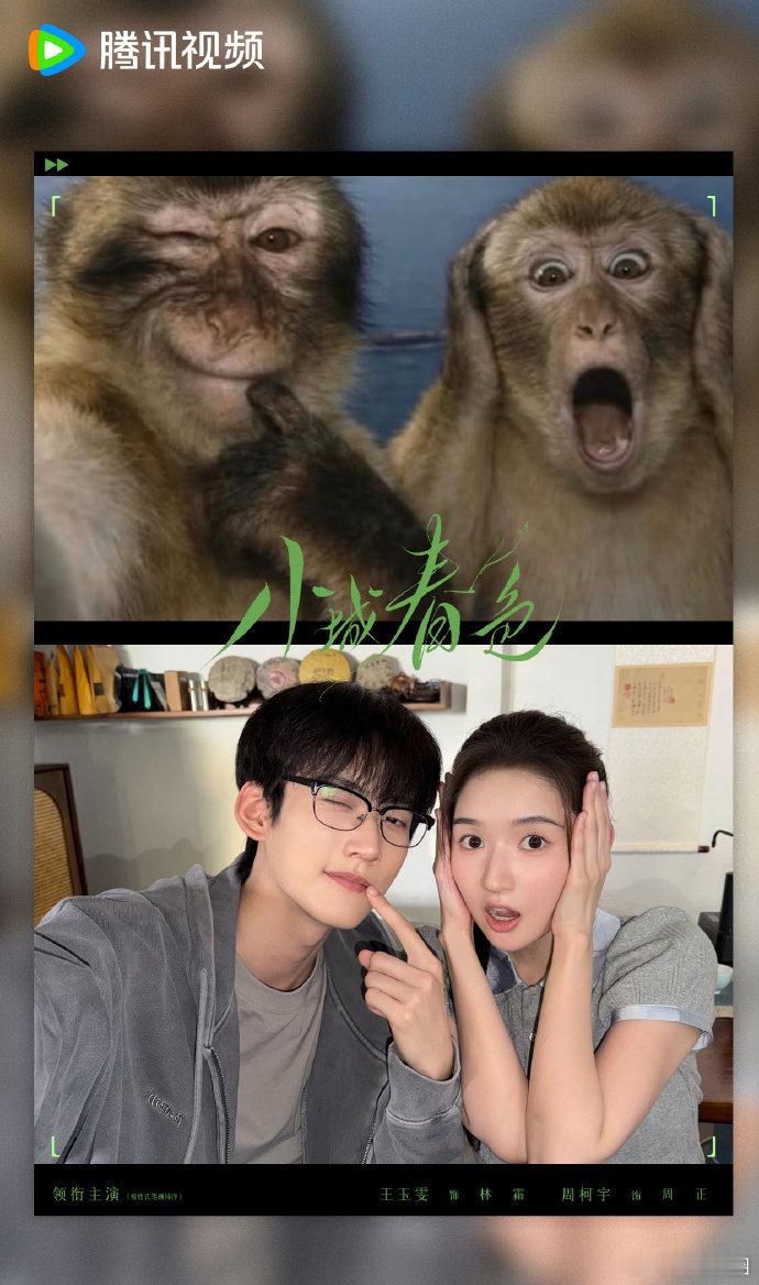 周柯宇王玉雯模仿动物表情包各种鬼脸轮番上阵，模仿小动物的样子，看着轻松又很有乐趣