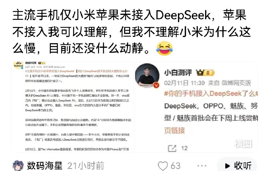 这就是为什么要支持华为的原因了！

苹果接入阿里，华为荣耀VIVO接入DeepS