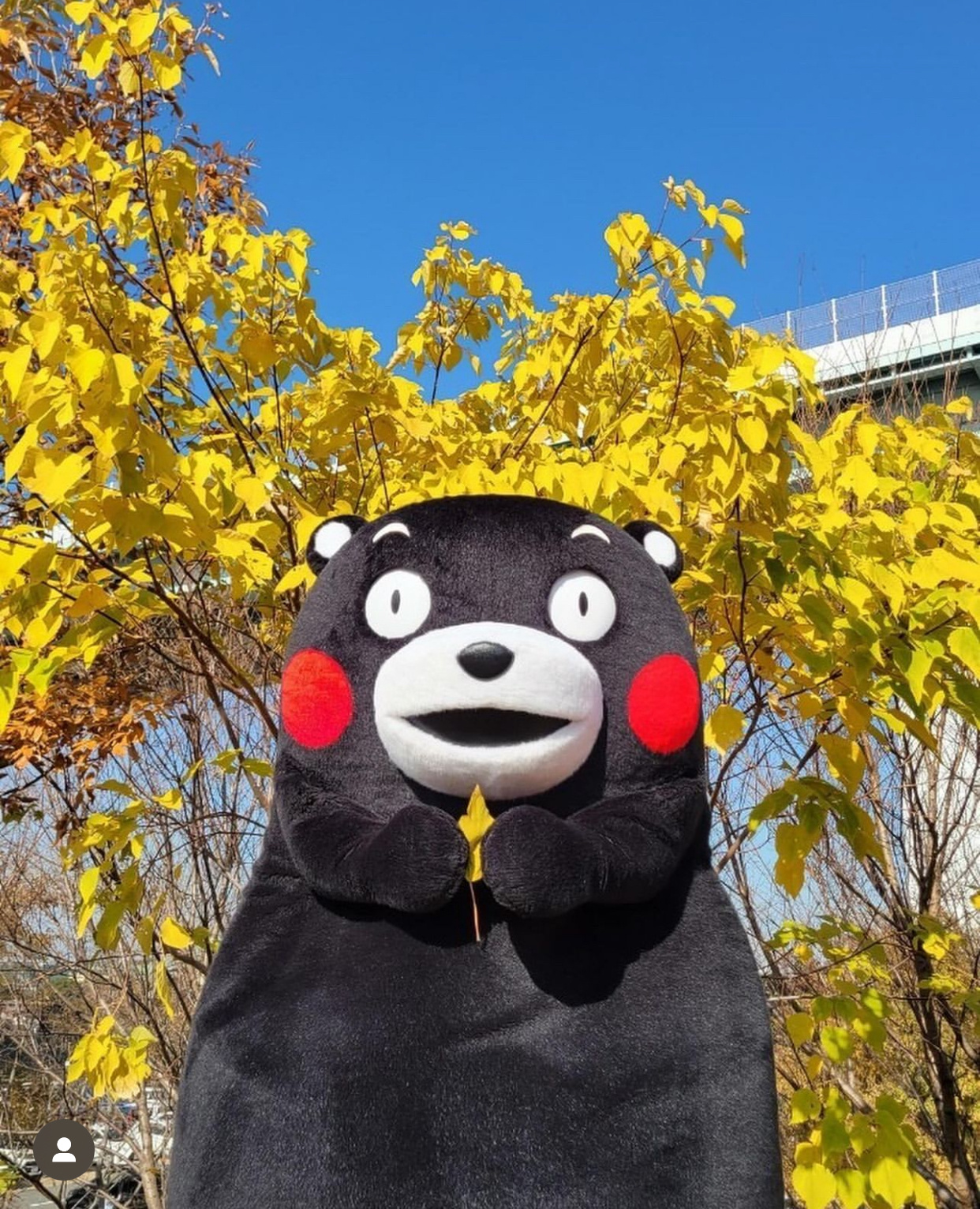 愿我们好运常在[爱你] ​​​