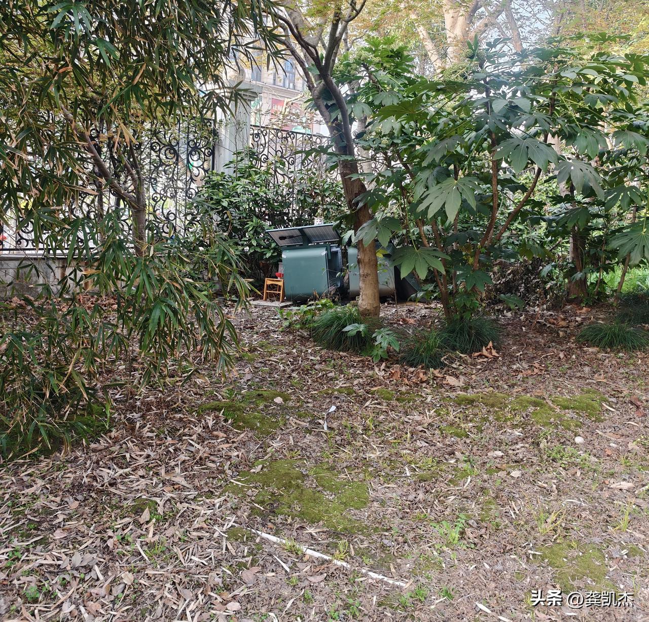 小区里专门为流浪猫配了一个窝，带有太阳能，到了晚上声控亮灯，是不是太有爱心了！[