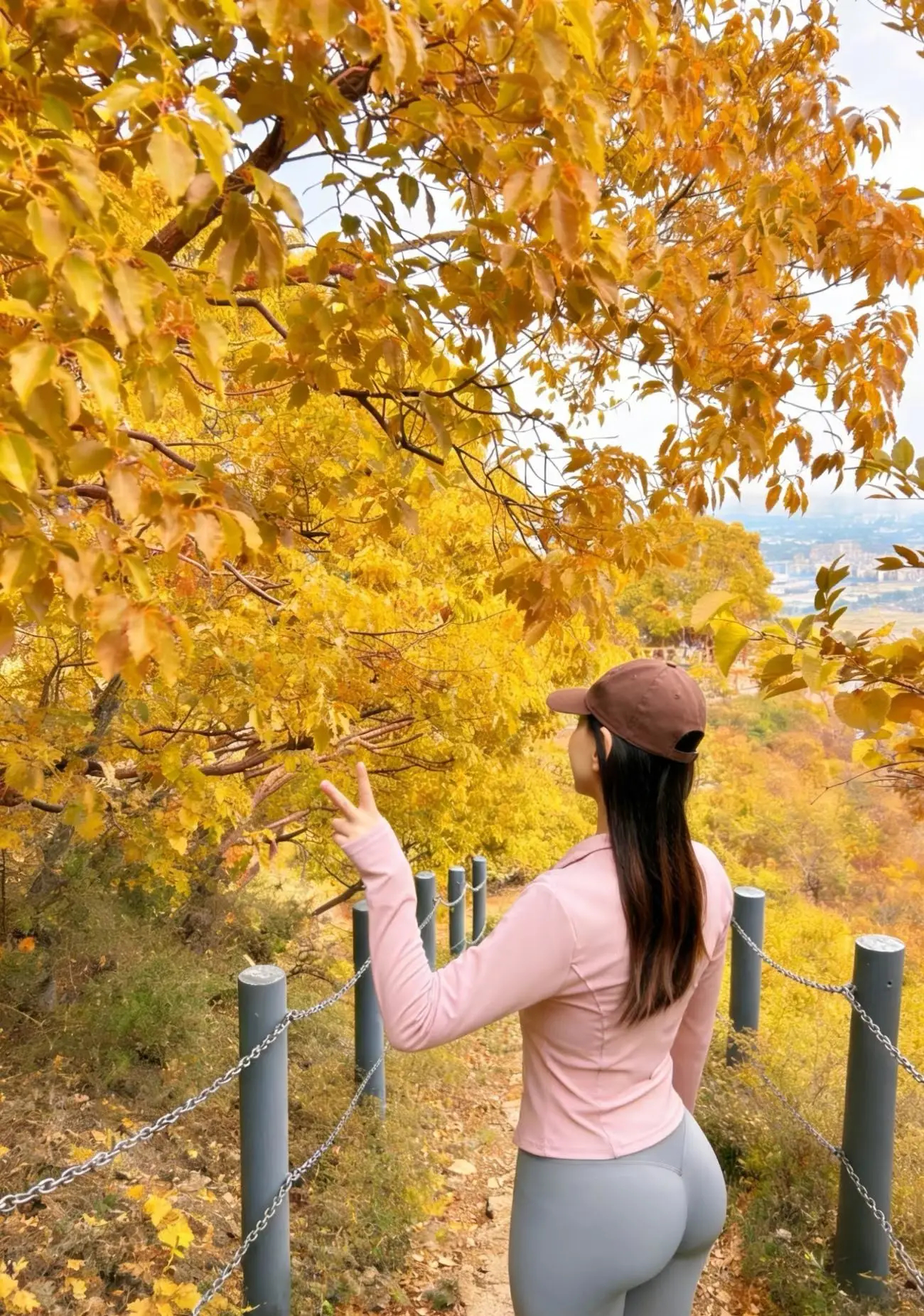 秋天的树叶真漂亮啊！ 