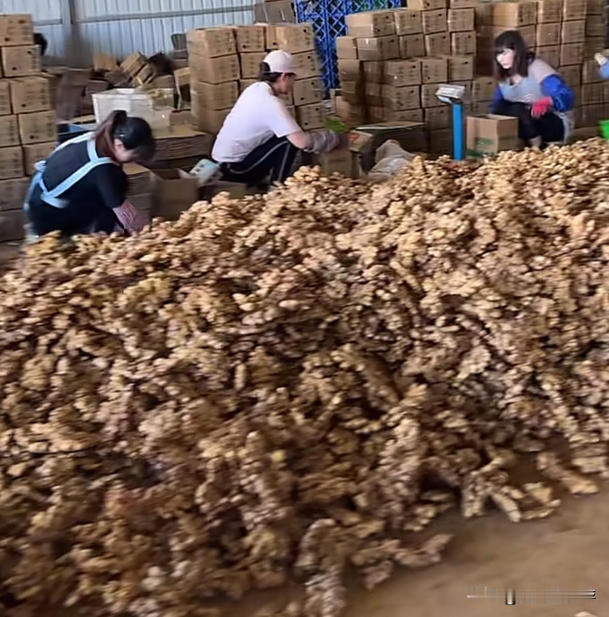一个人在家做电商，五一假期第二天，今天又是2300多单，预估利润6000块。
