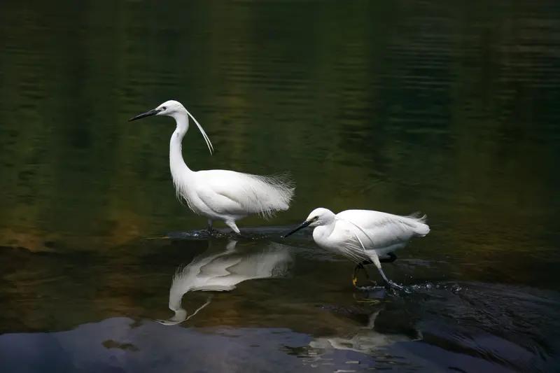 夫妻相处中，最让我崩溃的瞬间，一是月子之仇。产后女性本就脆弱，若遭受伴侣或婆婆的