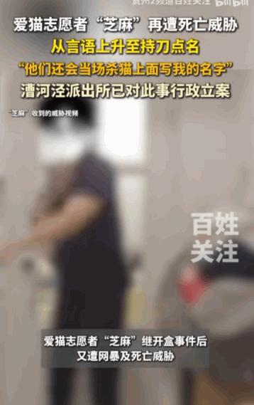 人善被人欺！"上海，一位名叫"芝麻"的爱猫志愿者，竟然因为救助流浪猫，而遭到了令