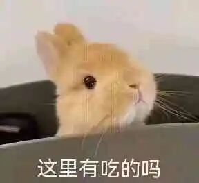 每次都告诫自己不要再听冷风了，年度报告看到冷风名字真的很搞笑，但又会经常翻那几首