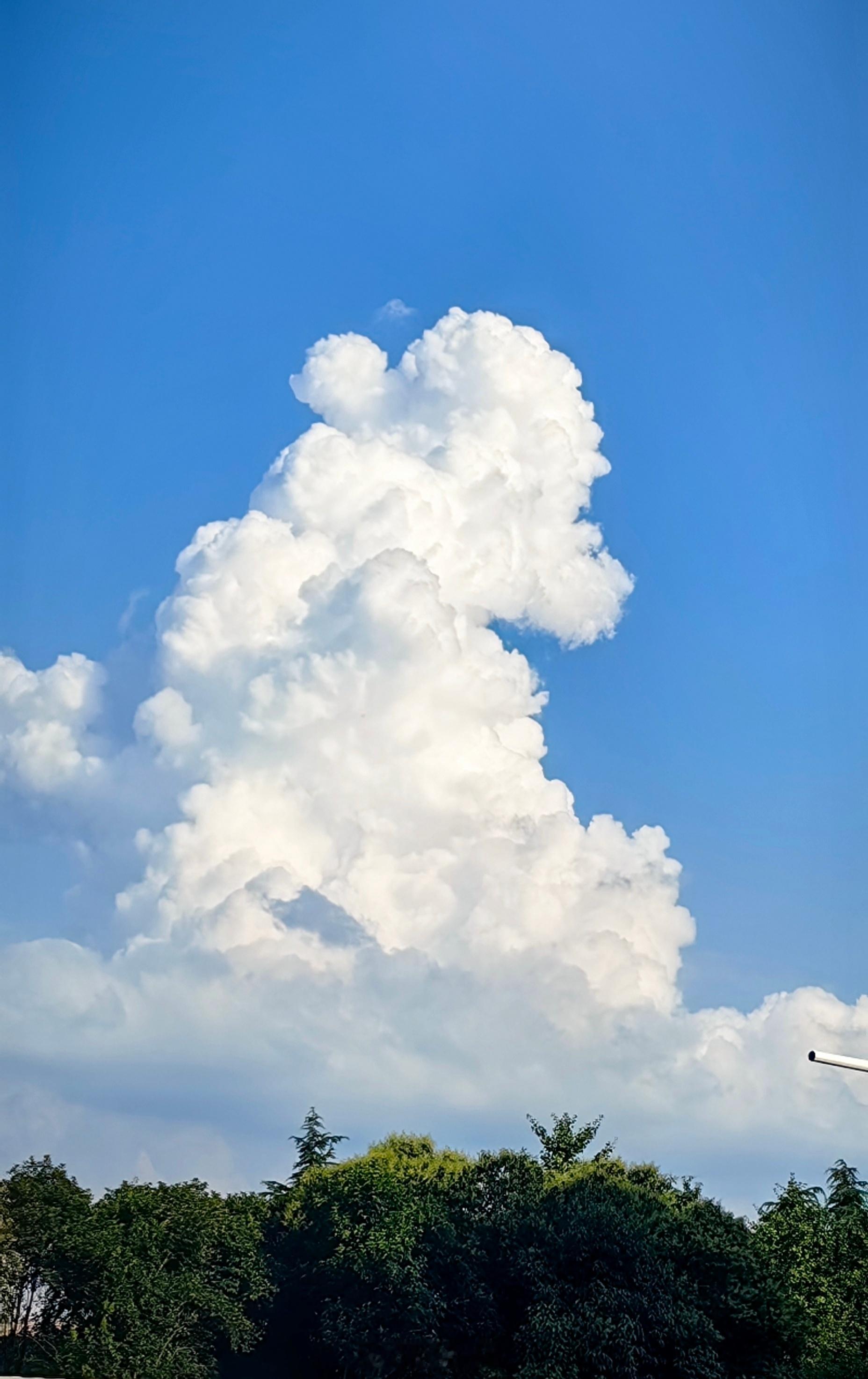 治中暑这些土法子不管用高温天中暑高发，不少代代相传的解暑土方法，不仅救不了人，还