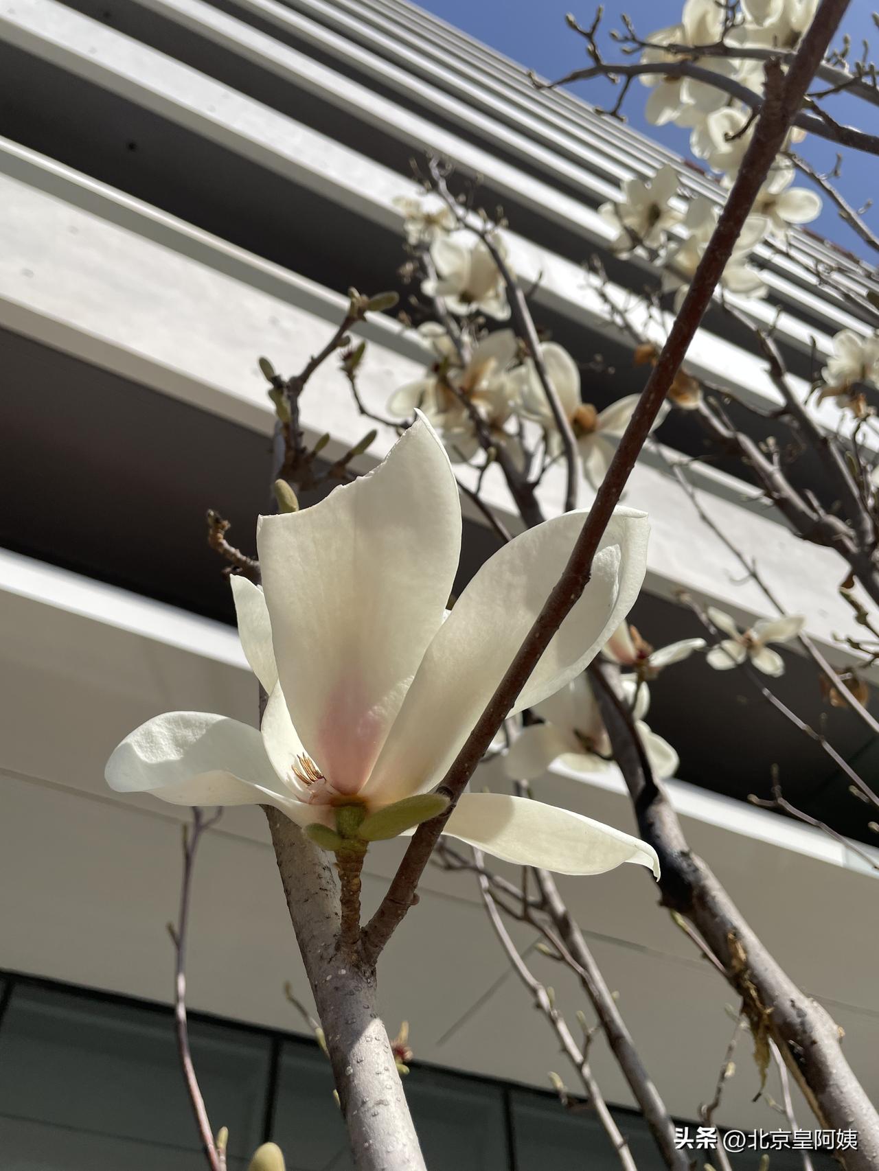 我只求一个字，康。 即我们平常所说的健康、安康. 
当然钱财我们也需要，但是你有