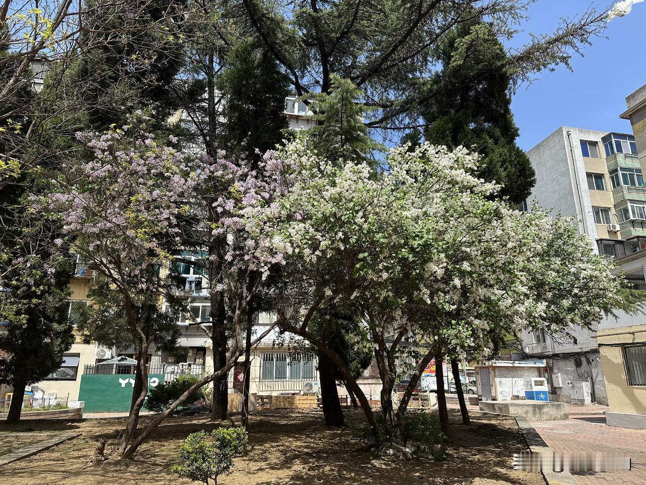 你有没有明明很想多赚钱，却总在原地打转的时候？很多人搞钱时，心里像住了个“小矮人