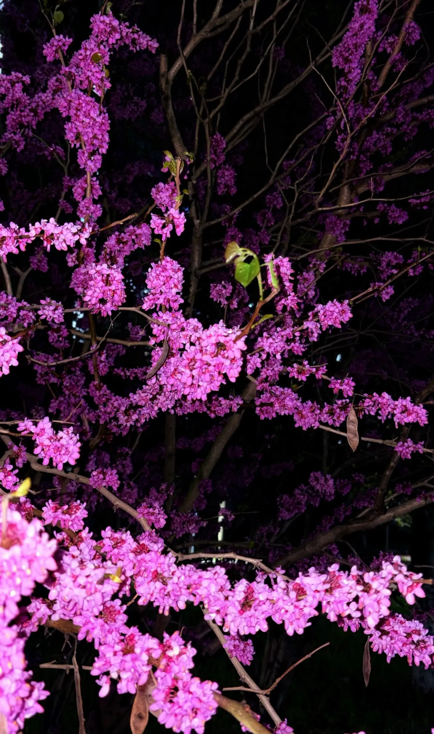 拯救地球好累 拯救你好不好