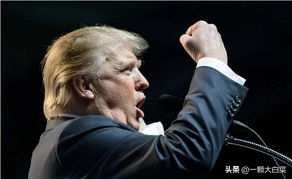 强盗的嘴脸终于暴露了

29号，特朗普在接受英国《金融时报》采访时说:我最想做的