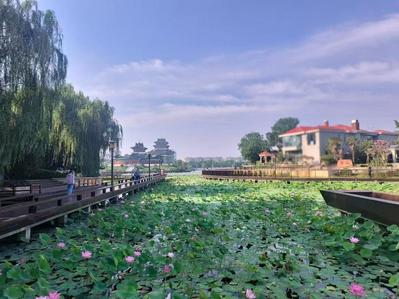 说起唐朝，你脑海中会浮现什么样的画面？也许是《步辇图》里威仪赫赫的太宗皇帝，也许
