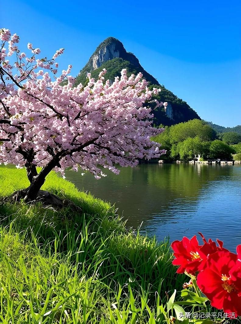 路边的花慢慢开了，太阳晒着特别舒服，
随便走走都觉得日子很温柔。
不慌不忙，好好