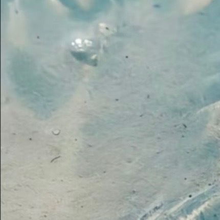 0000人生像一首曲子，离不开灵动的音符；每个人都希望自己的每一天都开开心心、顺