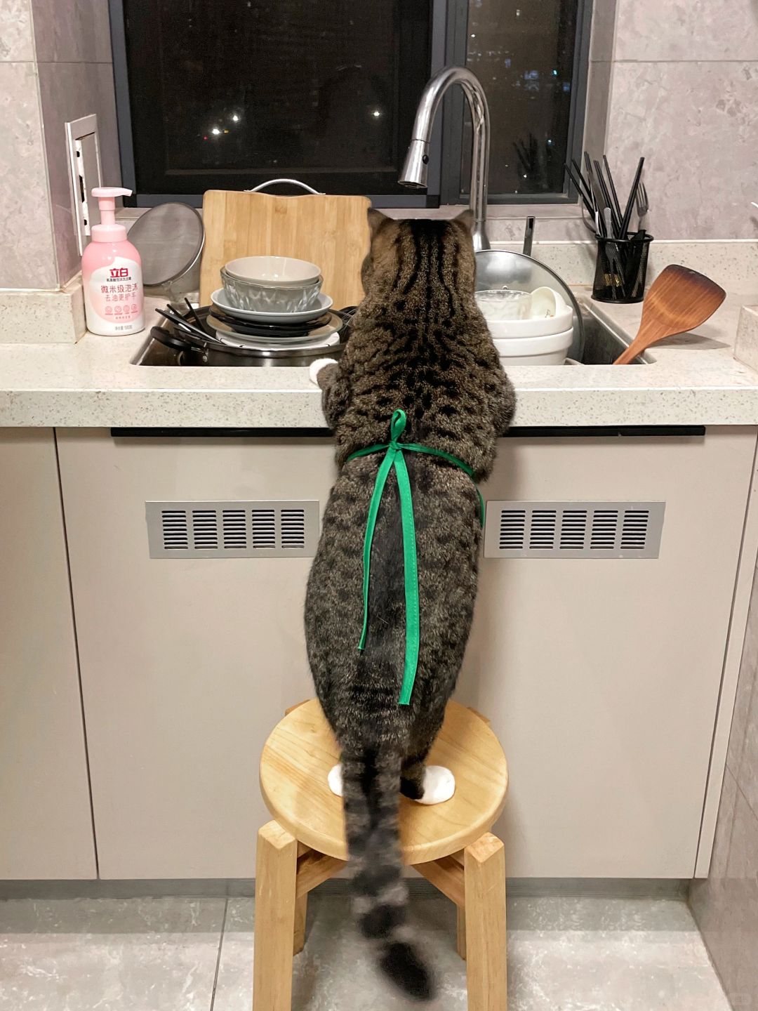我亲戚说我养个土猫有什么用？