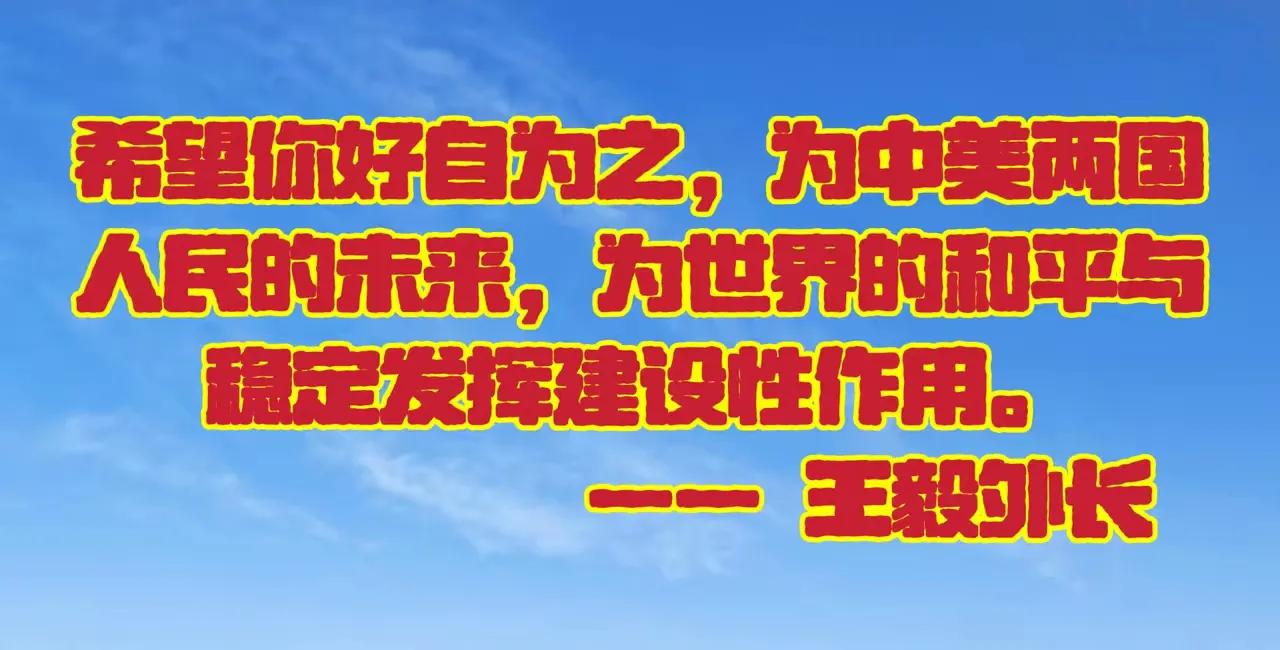 “好自为之”继马保国事件爆红网络后，再次风靡网络，这次要走出国门了！

王毅外长