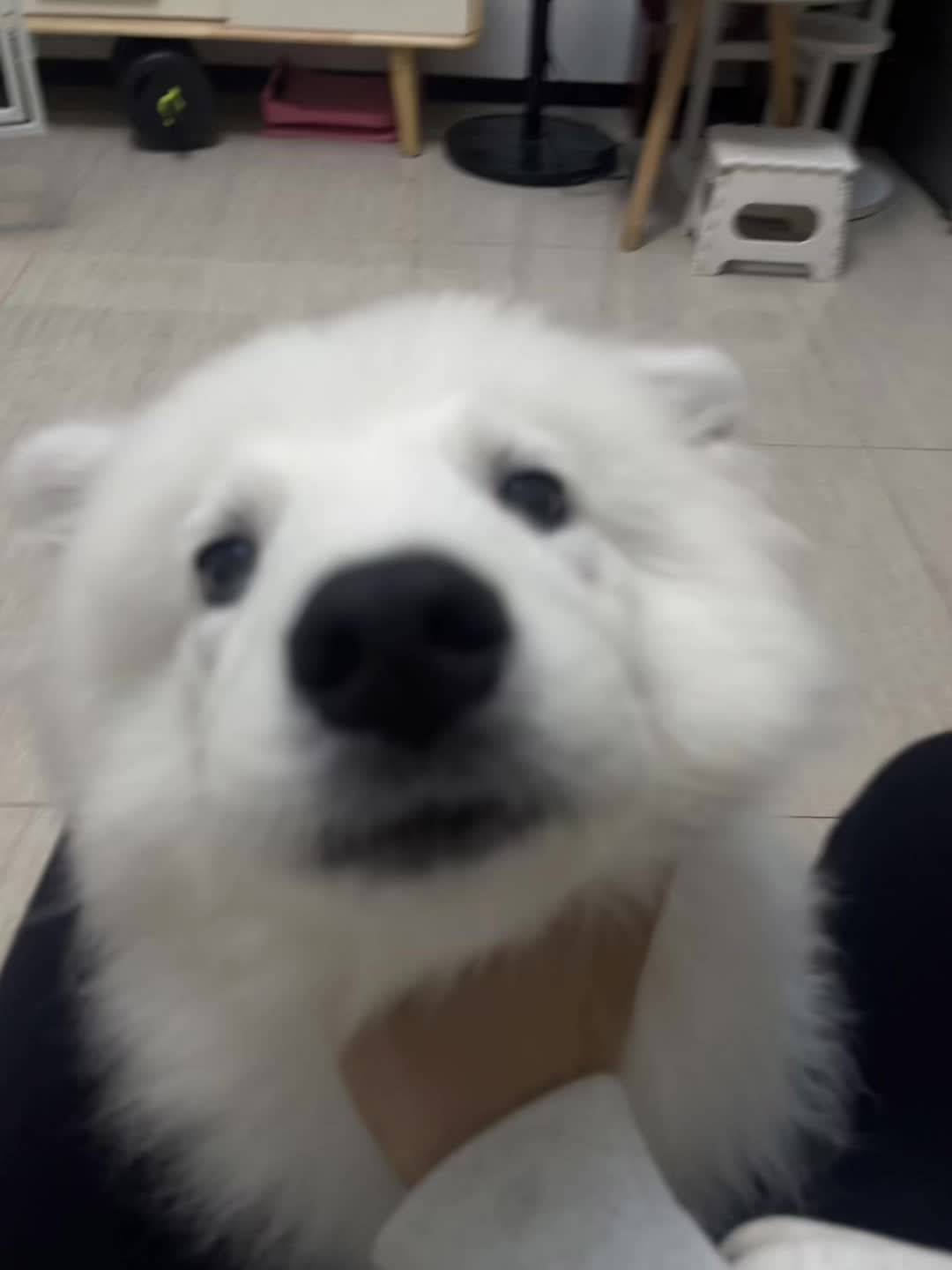 一眨眼就开始尴尬期了