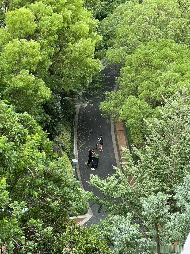 刚在打字这次台风没带来雨吗下一秒就哗哗下了台风巴威二次登陆