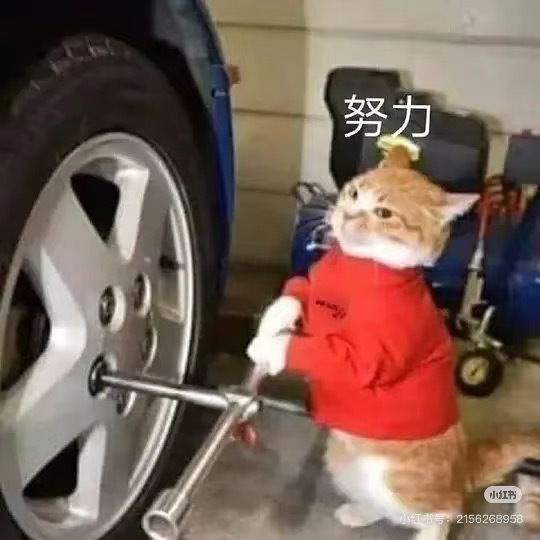 哈哈哈哈母上大人已经进入准备状态[努力]从昨天就开始发我各种攻略，最最努力之人[