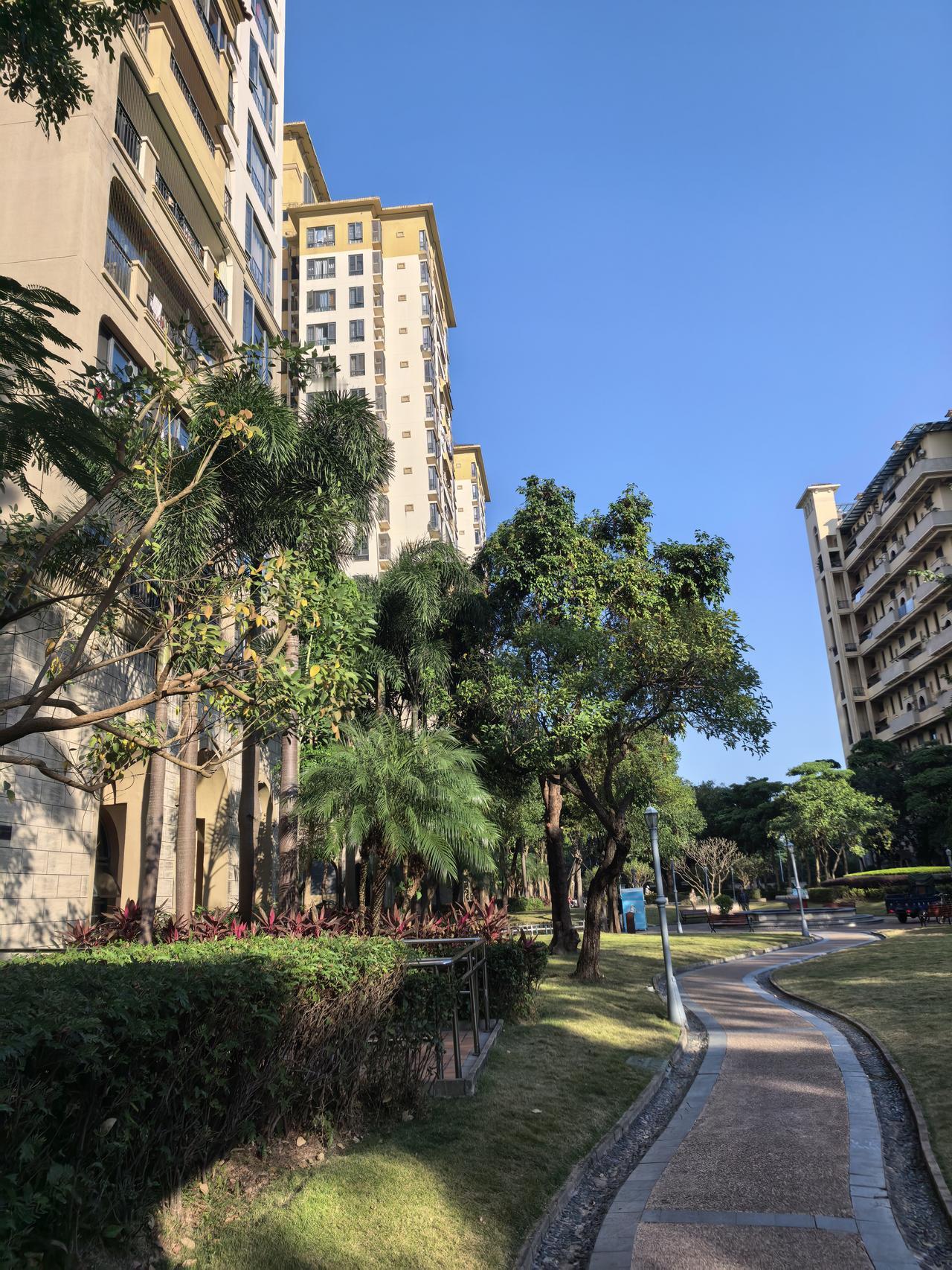 晒图笔记大赛这几天，天朗气清，阳光灿烂，天格外蓝。