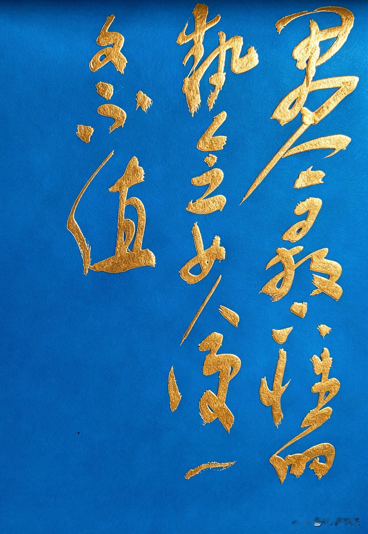 真敢说 没有家的人