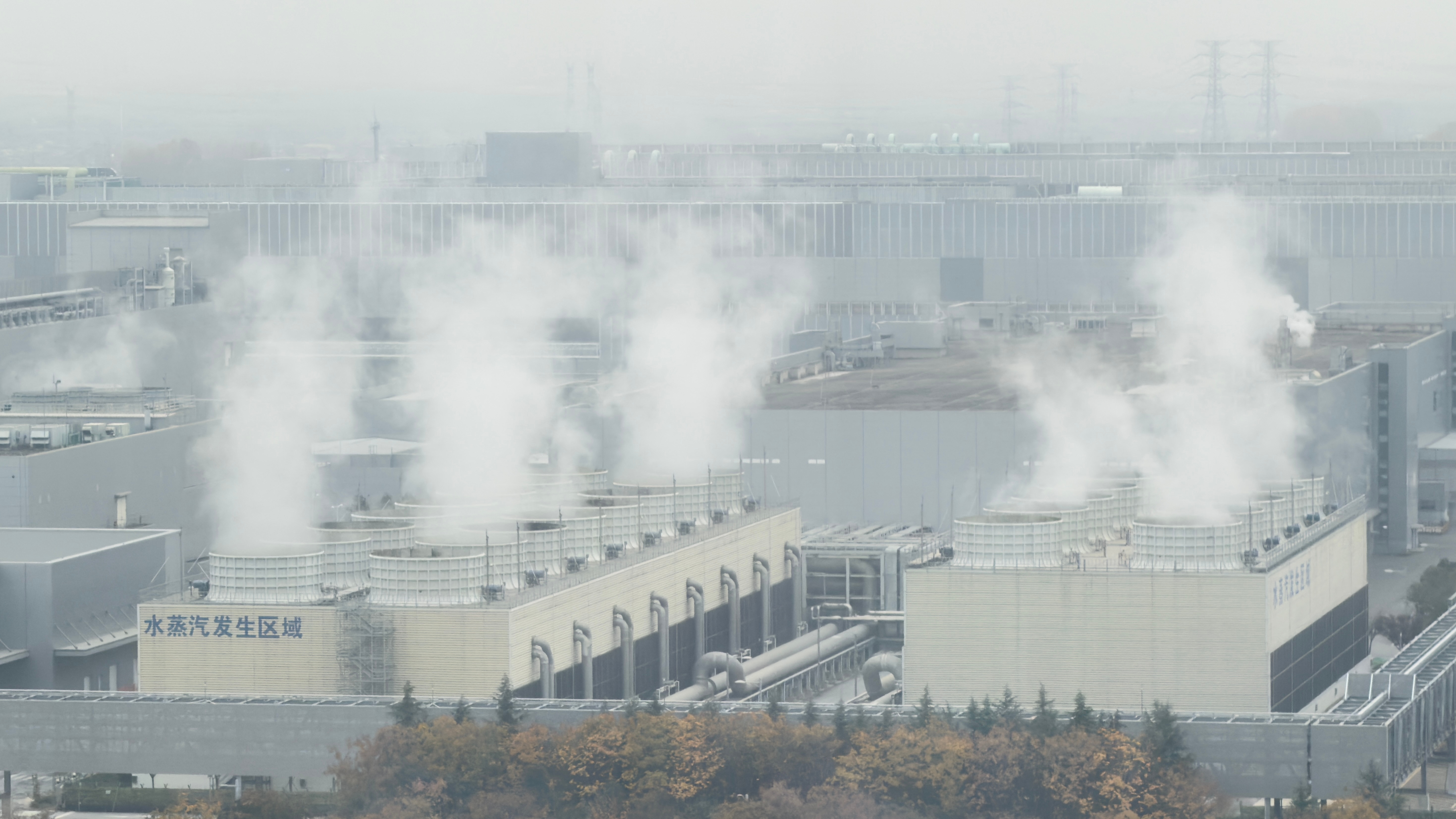 刷到一句话大概意思是说，你经历了一些难熬的事，这件事过去了，你也开始了正常生活，