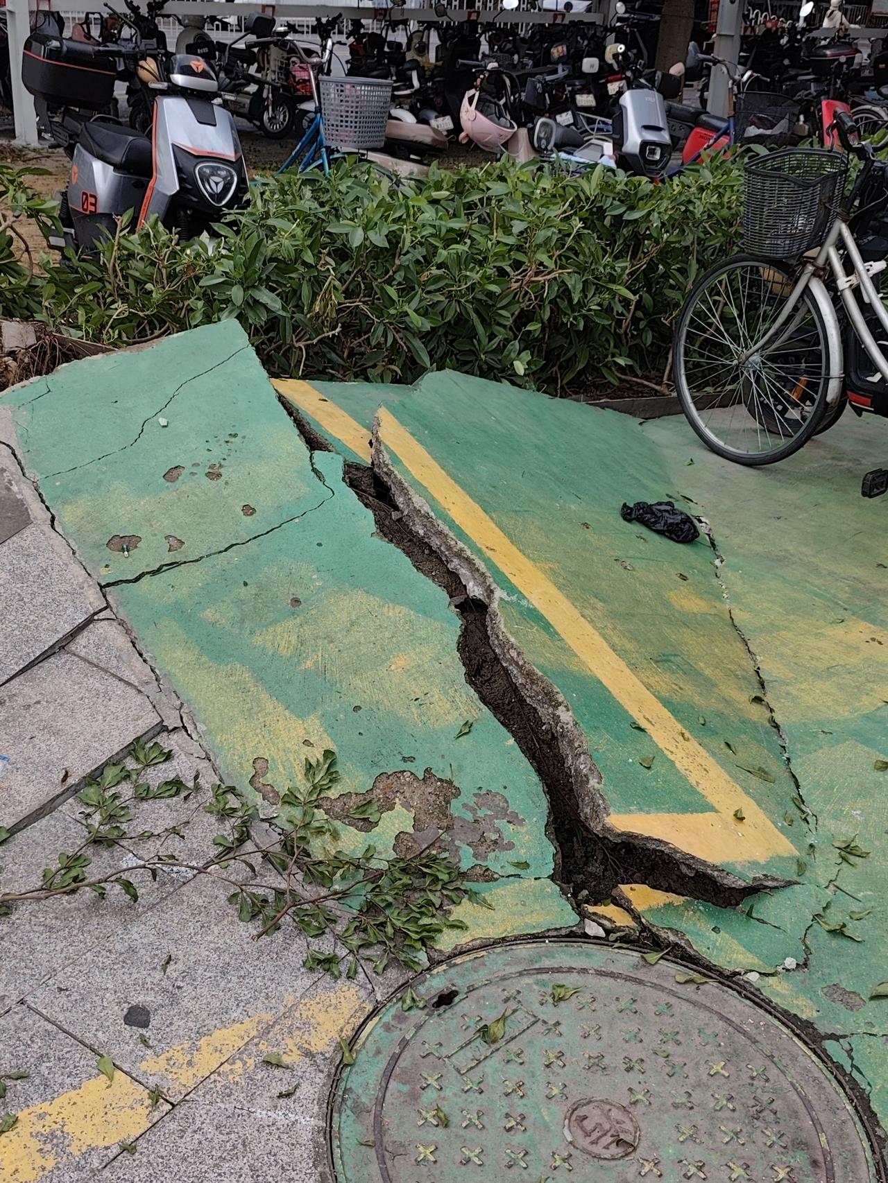 昨天广州黄埔区的大风和暴雨有多厉害？树倒了，压住汽车了，天河区那边的视频把摊位吹