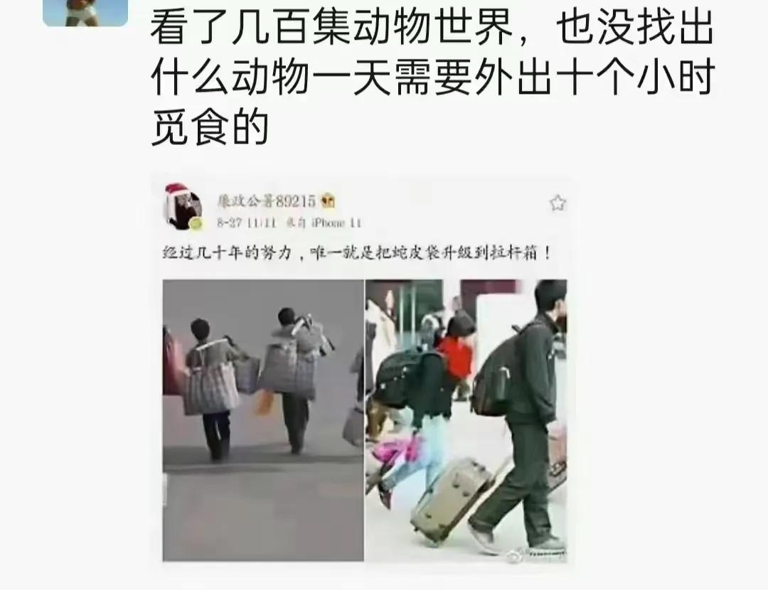 世界上最累的动物[奸笑][狗头][黑线]