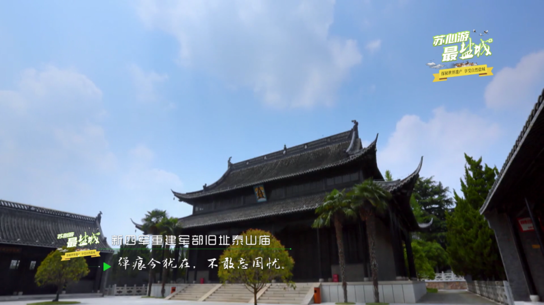 上海长宁|“沪盐旅游线路”发布！来一场“说走就走的旅游”吧！