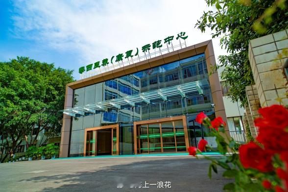 冰雪旅游看川西 攀枝花市第二人民医院医养康复示范中心，看到医养老人们聚集一堂，有