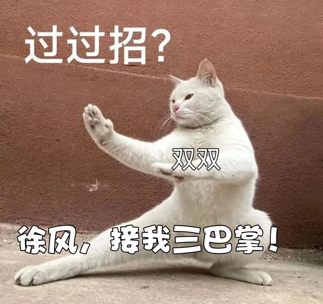 张艺兴在功夫女足肿出另一张脸很多观众看完都印象深刻，张艺兴大胆突破固有荧幕形象，