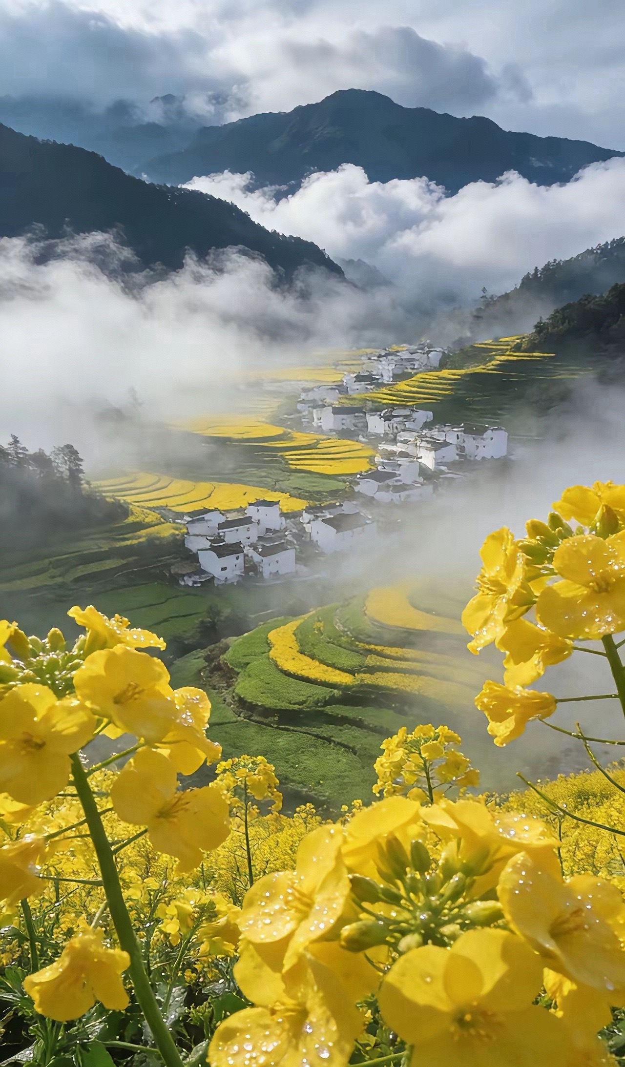 早，周末愉快！ 