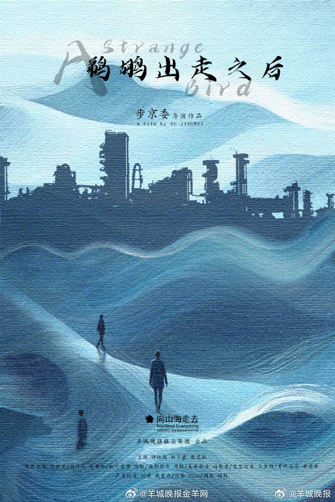 由2024山海计划十强青年导演步京委执导的短片《鹈鹕出走之后》电影海报和剧照发布