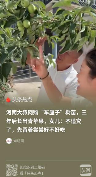 “笑不活了！”河南女子父亲3年前网购3棵车厘子树苗，2026年终于结果，女子却傻