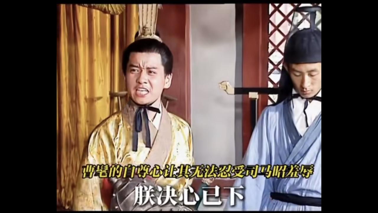 三国：司马昭之心 路人皆知！

曹髦：“朕决心已下，卿等助我前往讨贼！啊啊啊……