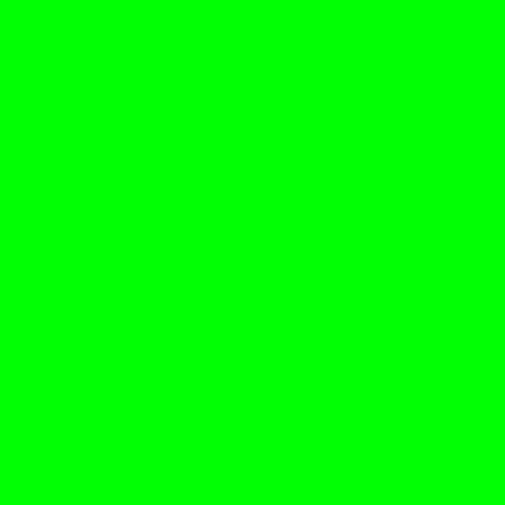 💚💚💚💚💚💚💚💚 