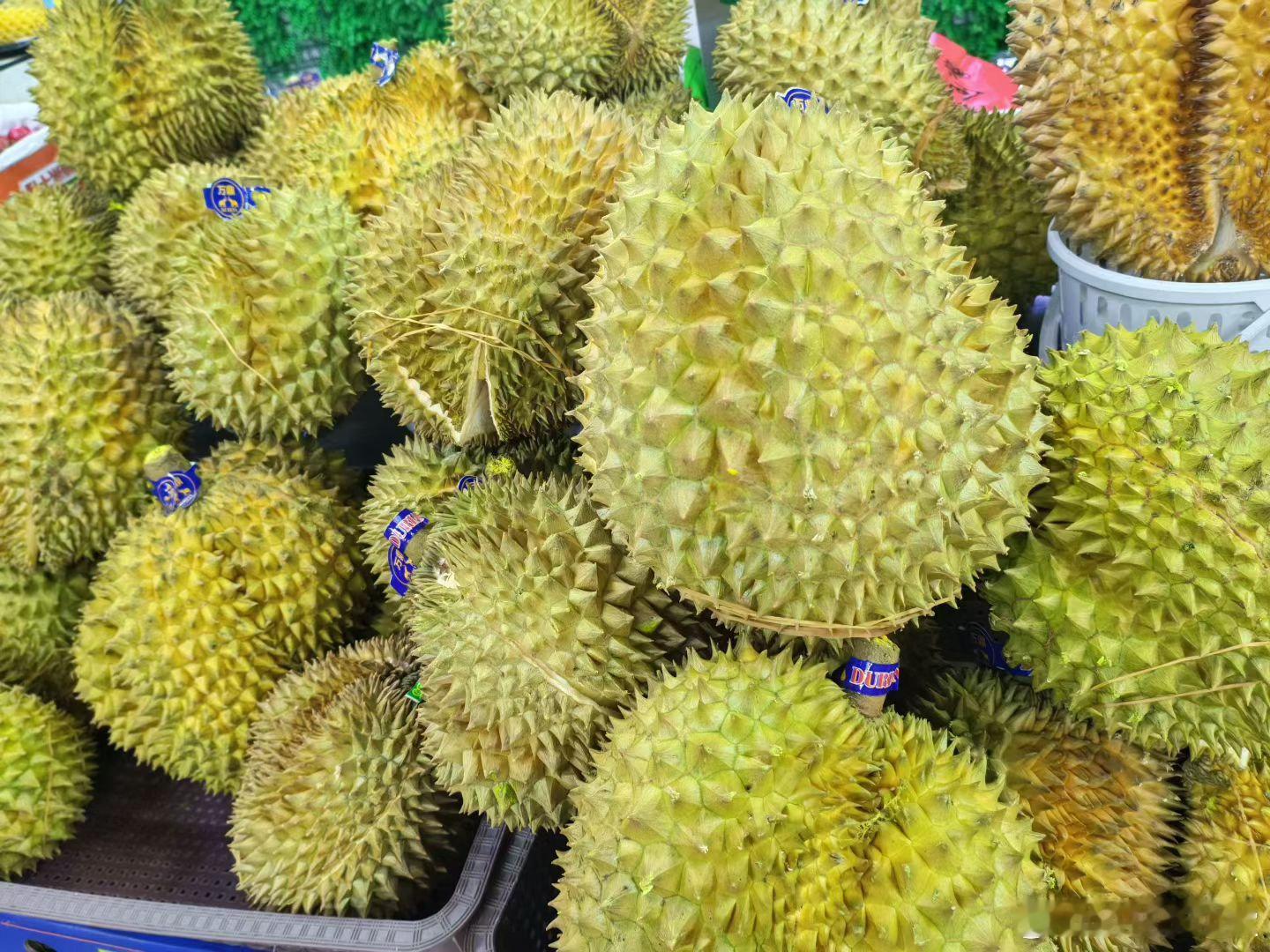 豆包帮挑的西瓜最近想买榴莲，准备带着豆包去挑一个现在看到豆包挑的西瓜，我都不知道