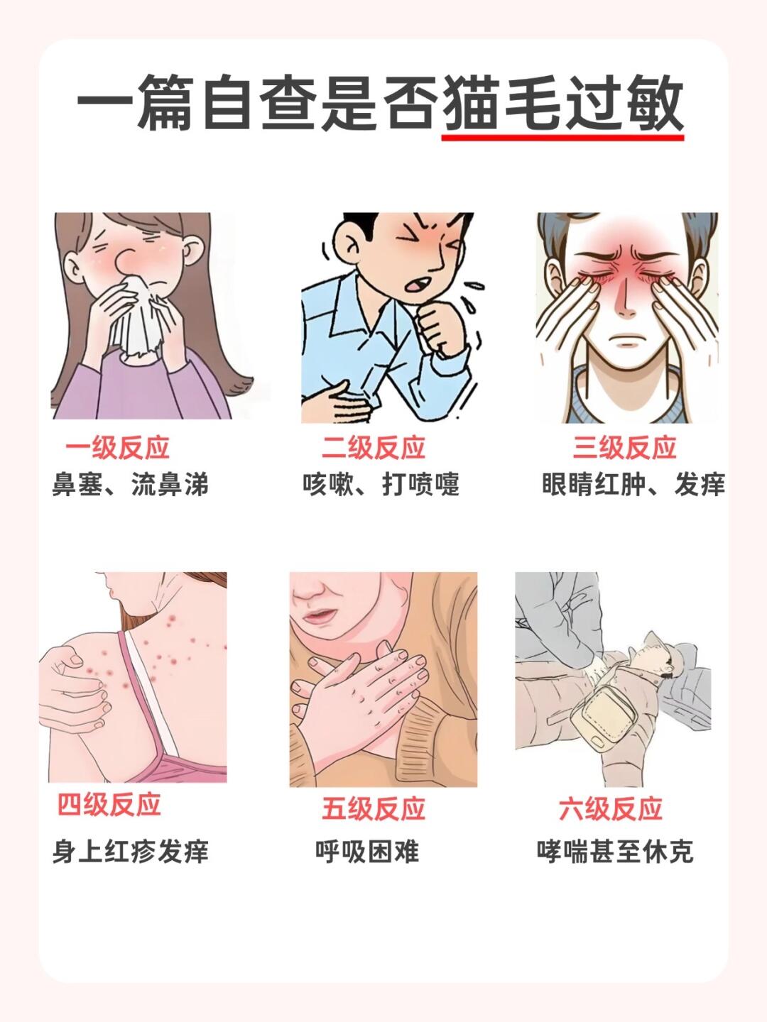 一篇告诉你，猫毛过敏如何自救