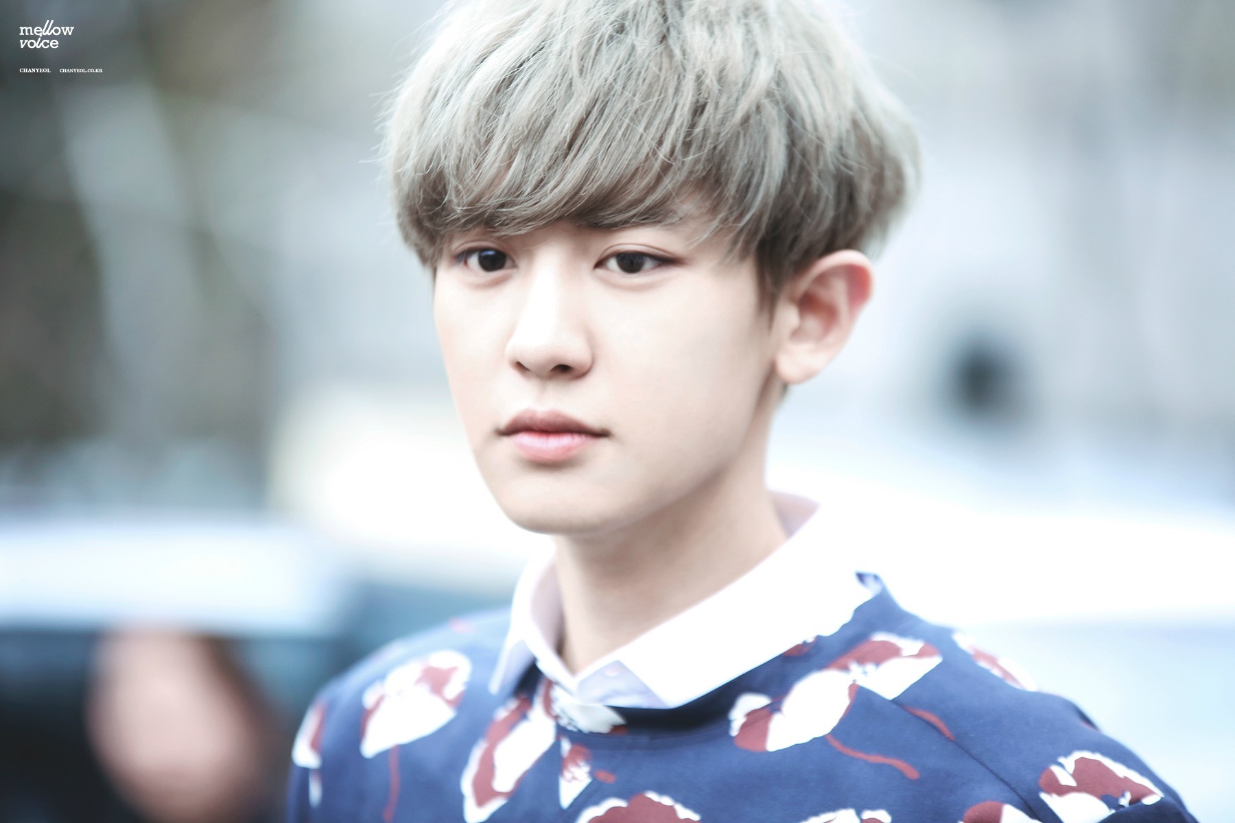 #朴灿烈# 150403 音乐银行外出 ​​​