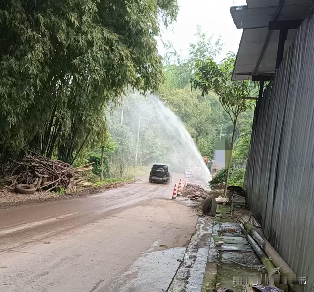 昨天上午因为我在群里怼了那个人，我想看看后续他有什么反响，所以采茶叶采到中途我摸