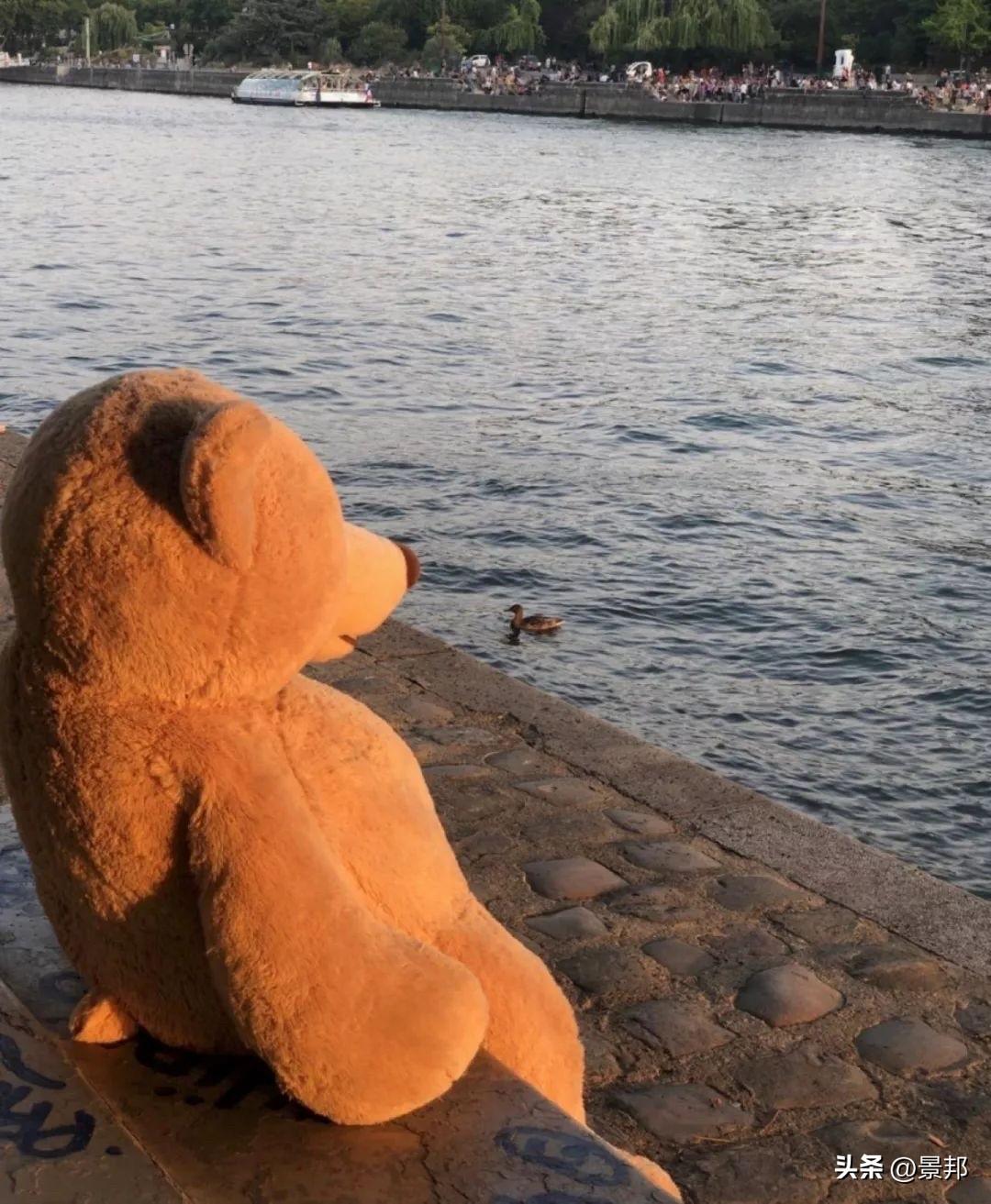 四十几岁的中年人，
干什么人都嫌你老，只有突然离逝，
人们才会说真年轻啊！