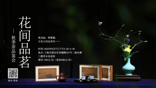 秋风起  寒露凝​正是花间品茗时……