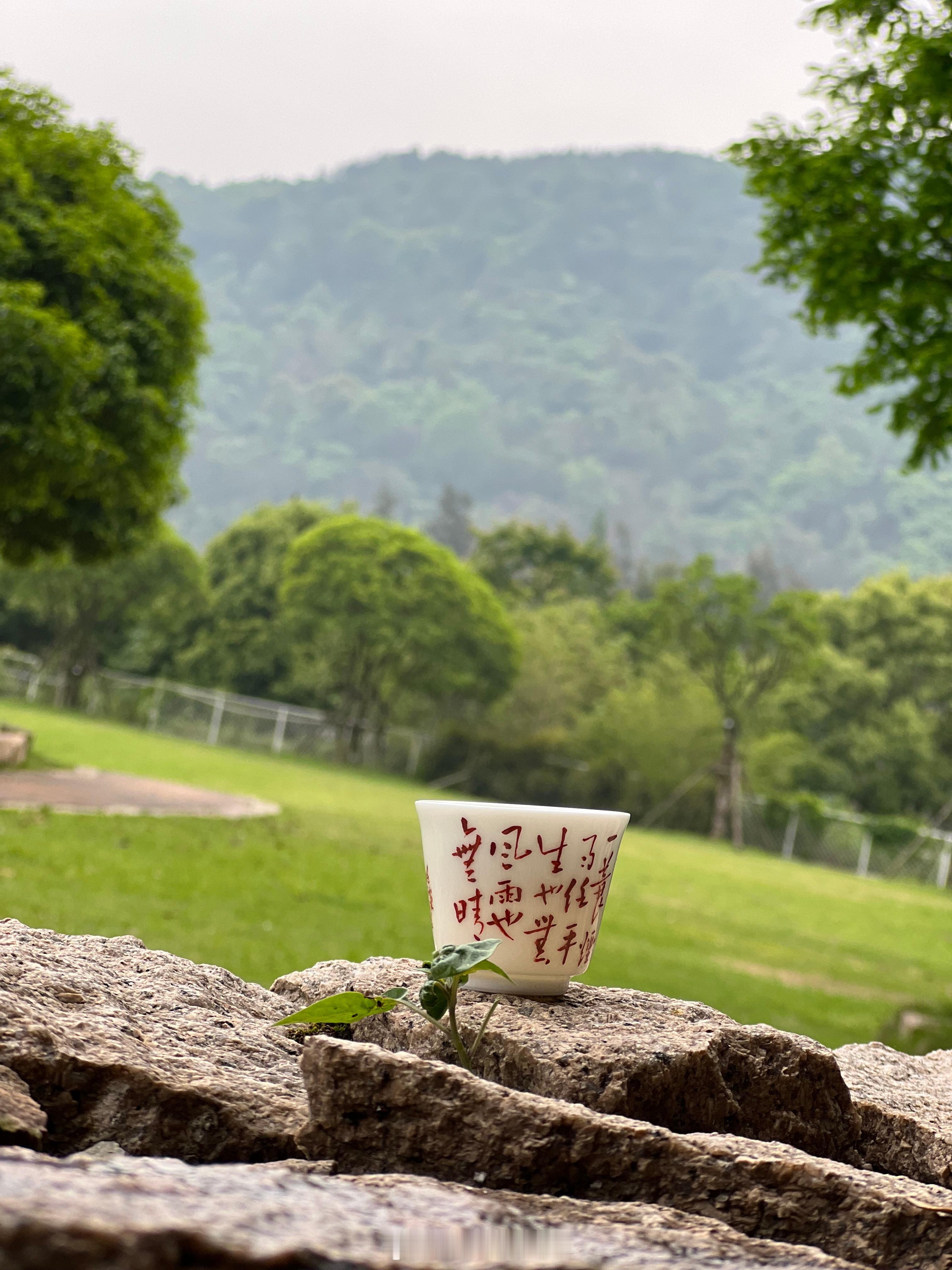 什么是人生最顶级的享受？非是锦衣玉食，也不是名利加身。是内心安宁，不被外界喧嚣裹